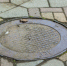 2332932.jpg?218490fc9a7c4b27694fc785aea8db28 - SakhalinMedia.Ru