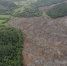 2526992.jpg - SakhalinMedia.Ru