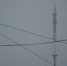 2537668.jpg - SakhalinMedia.Ru