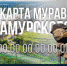 Фото: правительство Хабаровского края - РИА Сахалин-Курилы