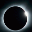 Тематическое фото unsplash.com - SakhalinMedia.Ru