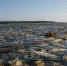 Тематическое фото gosakhalin.ru - SakhalinMedia.Ru