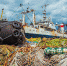 Рентабельность морского рыболовства может снизиться до 2% - SakhalinMedia.Ru