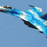 Рогов: сбитый украинский Су-27 поверг в уныние оставшихся летчиков ВСУ - Комсомольская Правда
