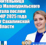 Педагог школы села на Курилах стала послом Форума классных руководителей 2025 года от Сахалинской области - News.Astv.Ru