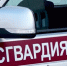 Пьяный водитель на Toyota Camry пытался сбежать от Росгвардии в Александровске-Сахалинском - РИА Сахалин-Курилы