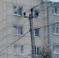 Пять руководителей УК на Сахалине оштрафуют за плохую работу - News.Astv.Ru