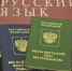 В РФ в 6,5 раз сократят список профессий, позволяющих иностранцам получить ВНЖ - Комсомольская Правда