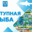 Южносахалинцам предлагают приобрести свежую рыбу - Администрация г.Южно-Сахалинск