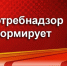Гигиена дома: как выбрать дезинфицирующие средства? - Роспотребнадзор