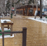 Зону фуд-корта благоустраивают в городском парке Южно-Сахалинска - News.Astv.Ru