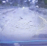 Опубликовано видео момента массового ДТП, которое устроил "Марк" на холмской трассе - News.Astv.Ru