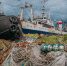 Тематическое фото Мария Смитюк, ИА PrimaMedia.ru - SakhalinMedia.Ru