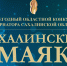 В Сахалинской области определят «Лидера эффективности» - СахОУНБ