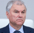 Володин призвал МВД обратить внимание на Минтруда из-за зарубежных специалистов - Комсомольская Правда