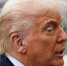 Bild: Трамп может пойти на уступки РФ из-за желания поскорее решить конфликт - Комсомольская Правда