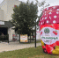 Сахалинские фермеры представили свою продукцию на ярмарке «День варенья» благодаря господдержке - Центр Мой бизнес