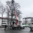 Монтаж новогодней елки на площади Ленина в Долинске начали 28 ноября - CitySakh.Ru
