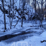 Немного снежно и до +7°C: прогноз для Сахалинской области на 7 декабря - News.Astv.Ru