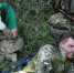 Украинские боевики перепутали и накрыли своих: часть взвода ВСУ оказалась уничтожена - Комсомольская Правда