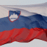 Спикер парламента Словении намерен провести референдум о выходе страны из НАТО - Комсомольская Правда