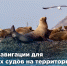 Сезон навигации для маломерных судов ОТКРЫТ и морские экскурсии уже доступны.  Забронируйте приключение уже сейчас! - Туристско-информационный центр