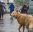 Тематическое фото Мария Смитюк, ИА PrimaMedia - SakhalinMedia.Ru